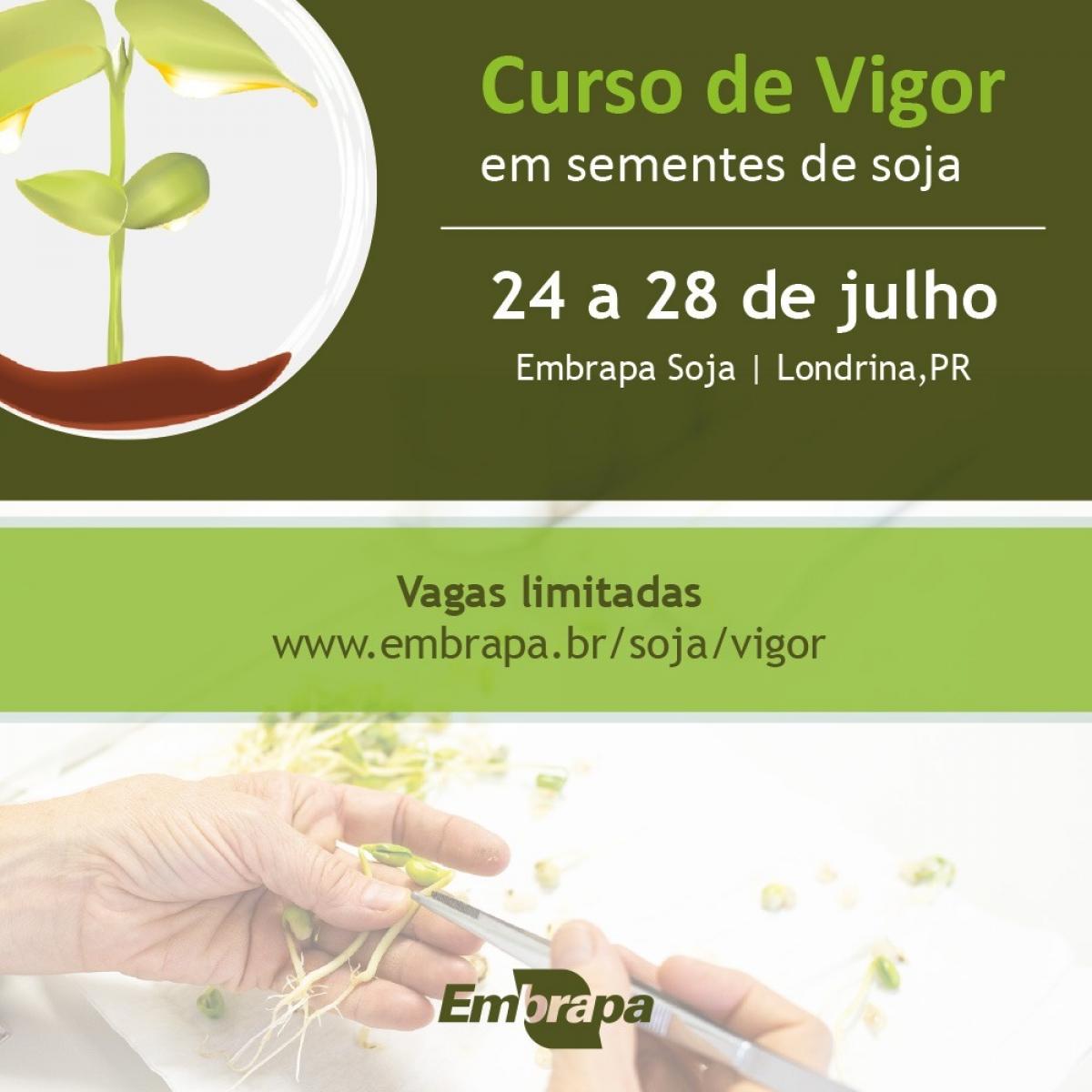 Curso Vigor